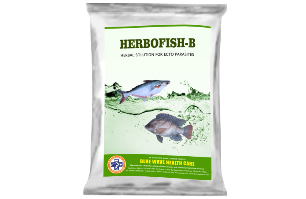HERBOFISH-B (Herbal Solution for Ecto Parasites)